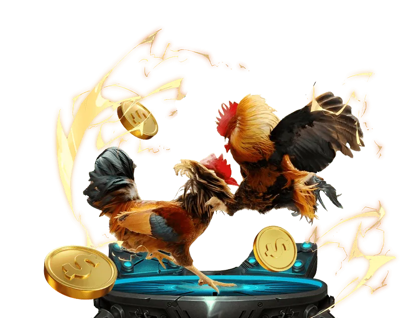 Cách xem trực tiếp gà đá Thomo trực tuyến